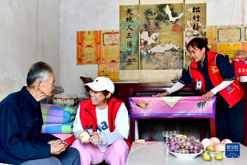 大白菜官网哪个是真的